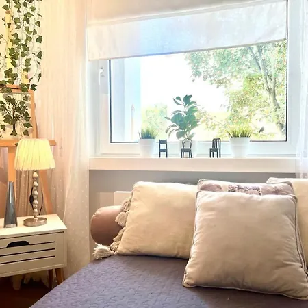 Apartment Comfort *